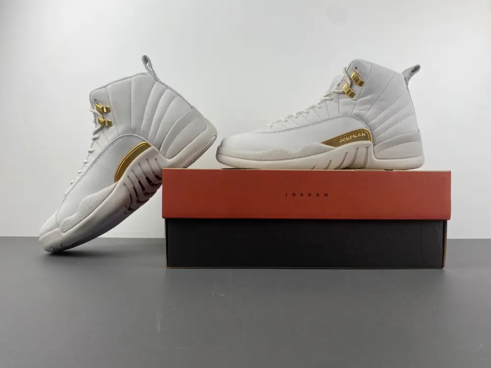 Air Jordan 12 