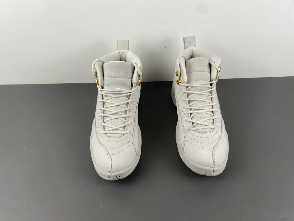 Air Jordan 12 
