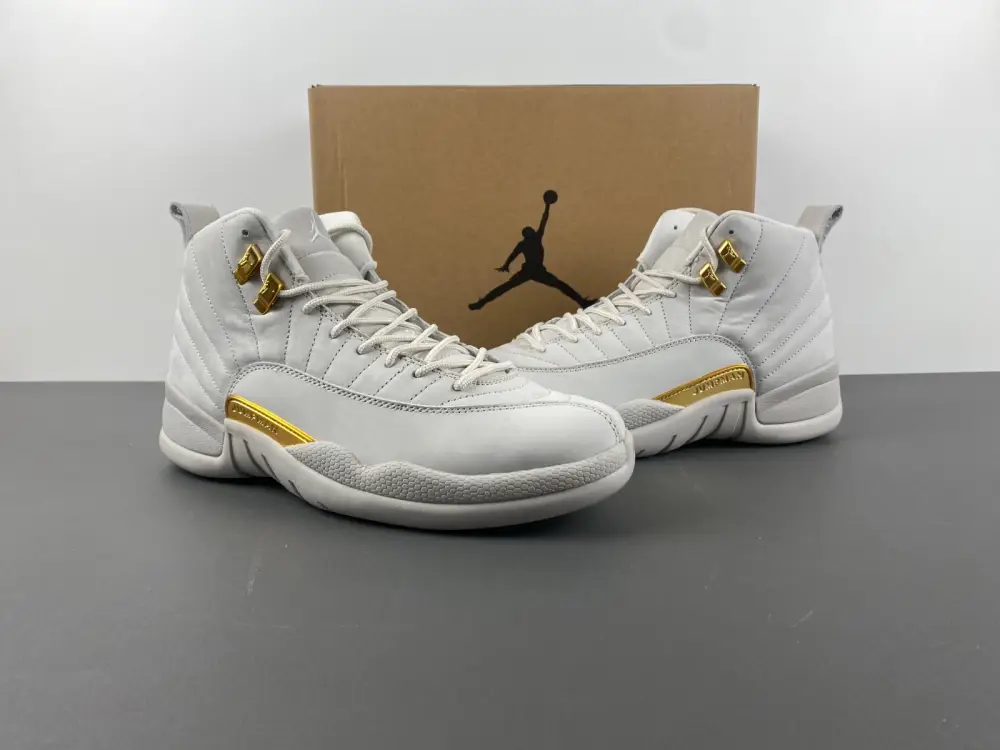 Air Jordan 12 
