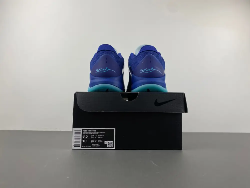Nike Kobe 5 Protro 