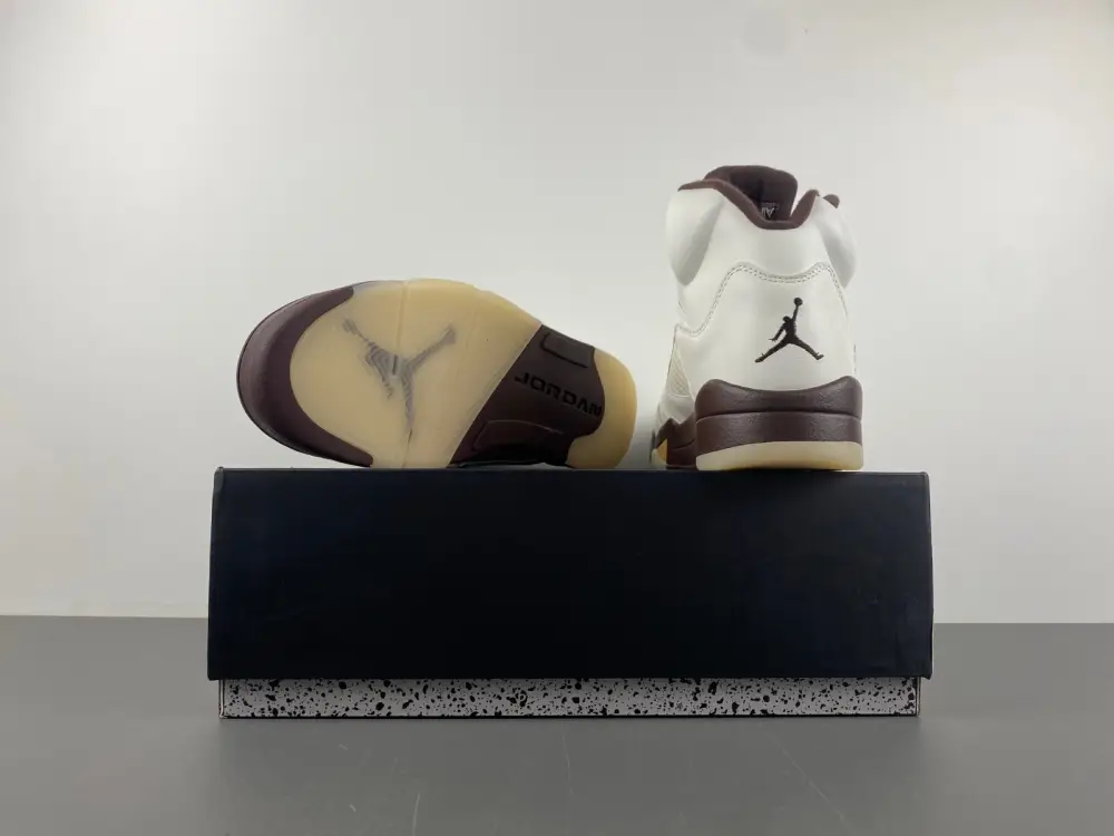 Air Jordan 5 