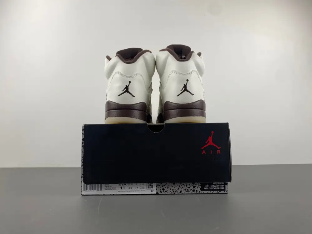 Air Jordan 5 