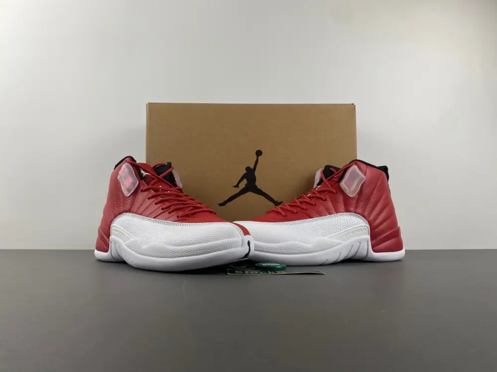 Air Jordan 12 