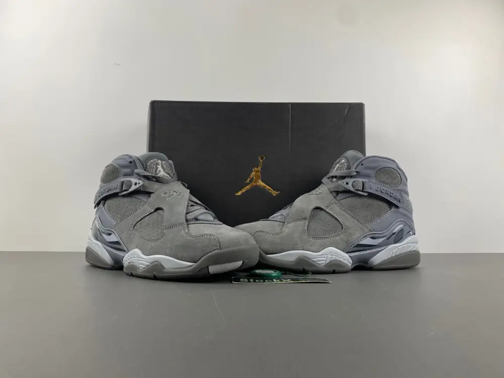 Air Jordan 8 Retro  305381  AAE1407