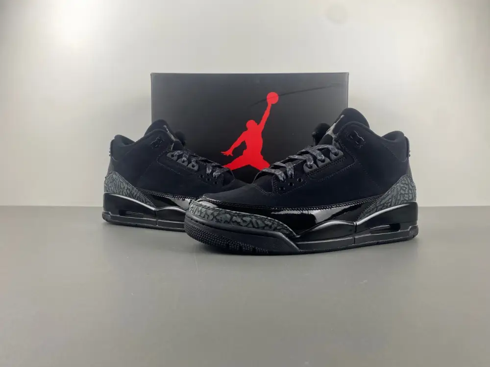 Air Jordan 3 