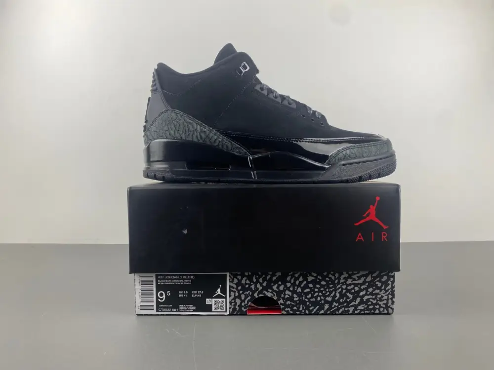 Air Jordan 3 