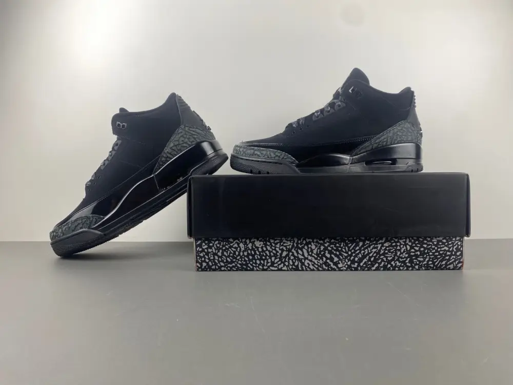 Air Jordan 3 