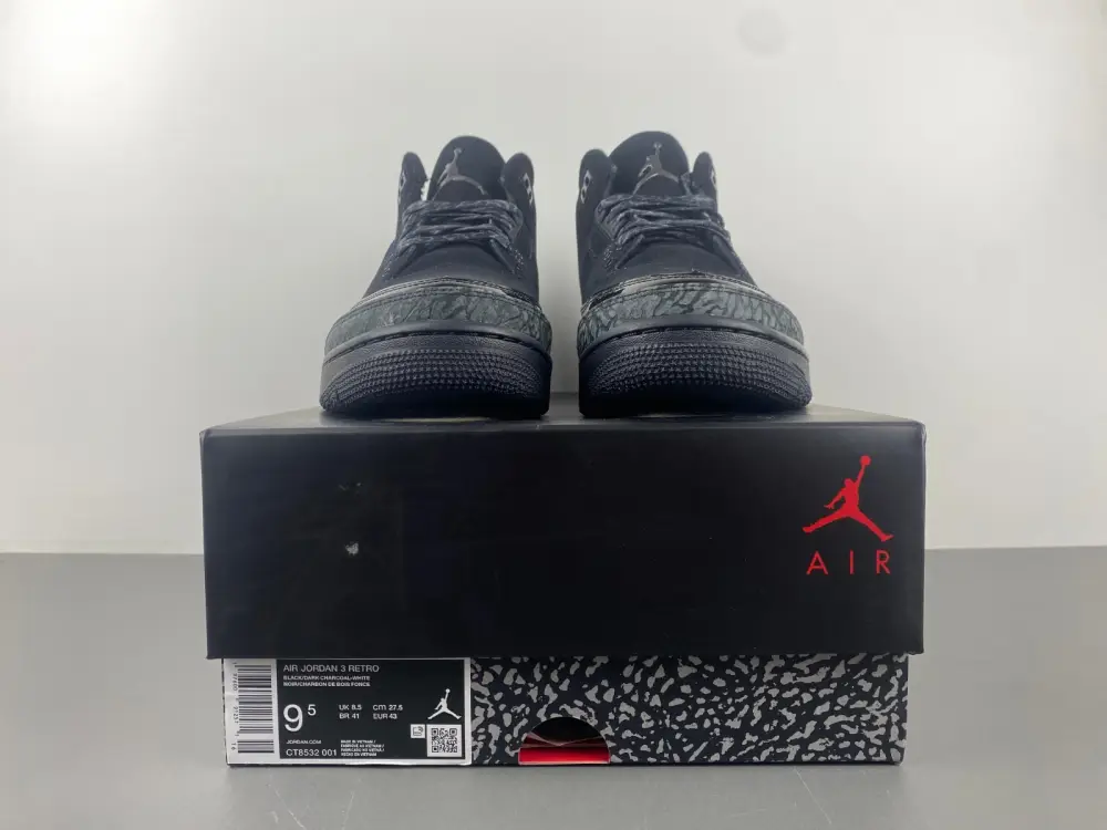 Air Jordan 3 