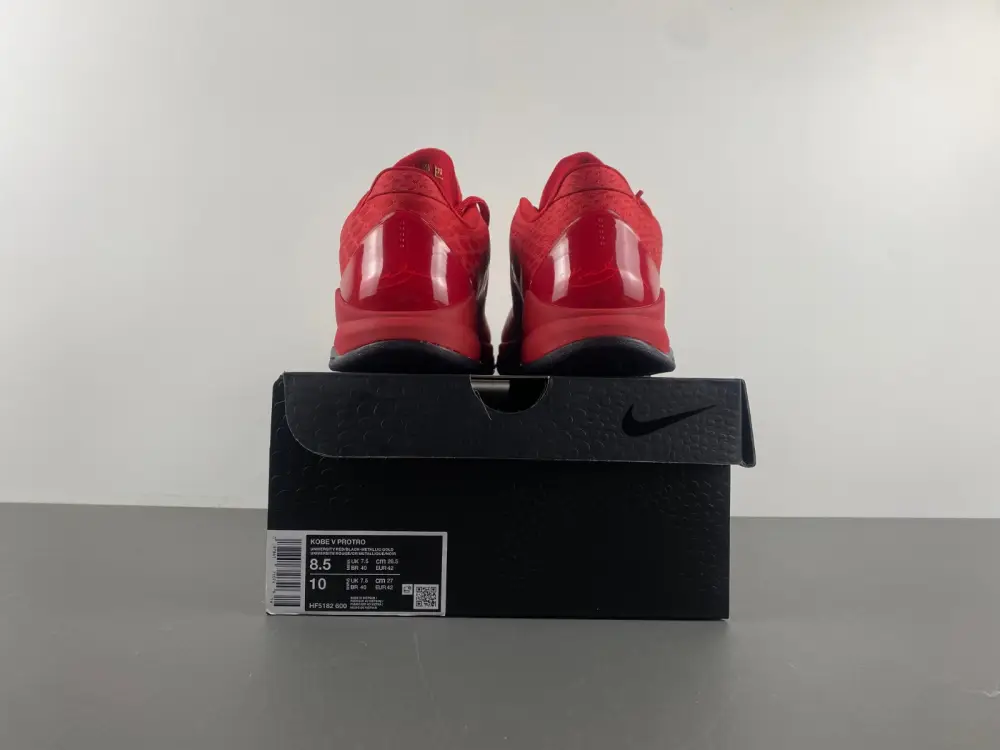 Nike Kobe 5 Protro 