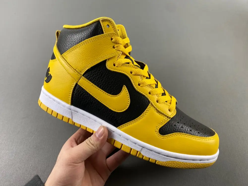 Nike Dunk High 