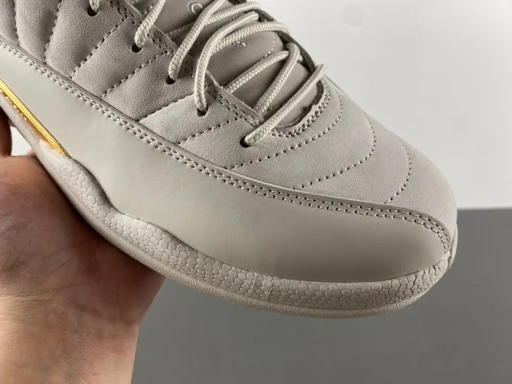 Air Jordan 12 