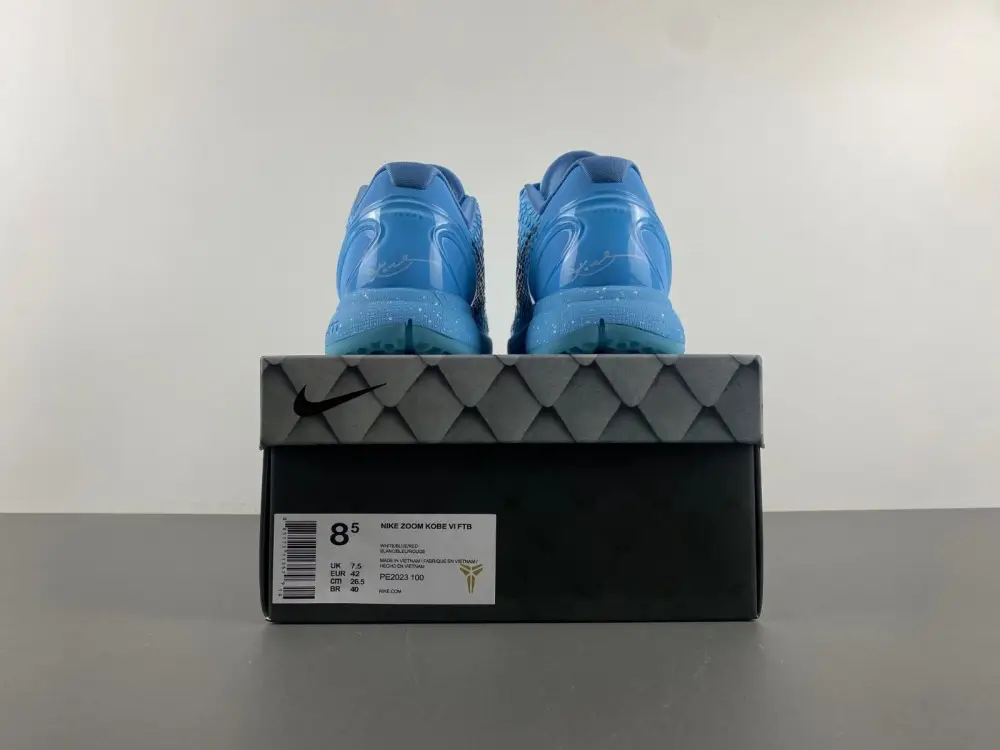 Zoom Kobe 6 