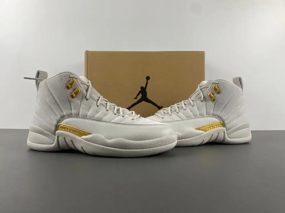 Air Jordan 12 