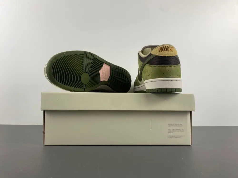 Yuto Horigome x Nike SB Dunk Low 