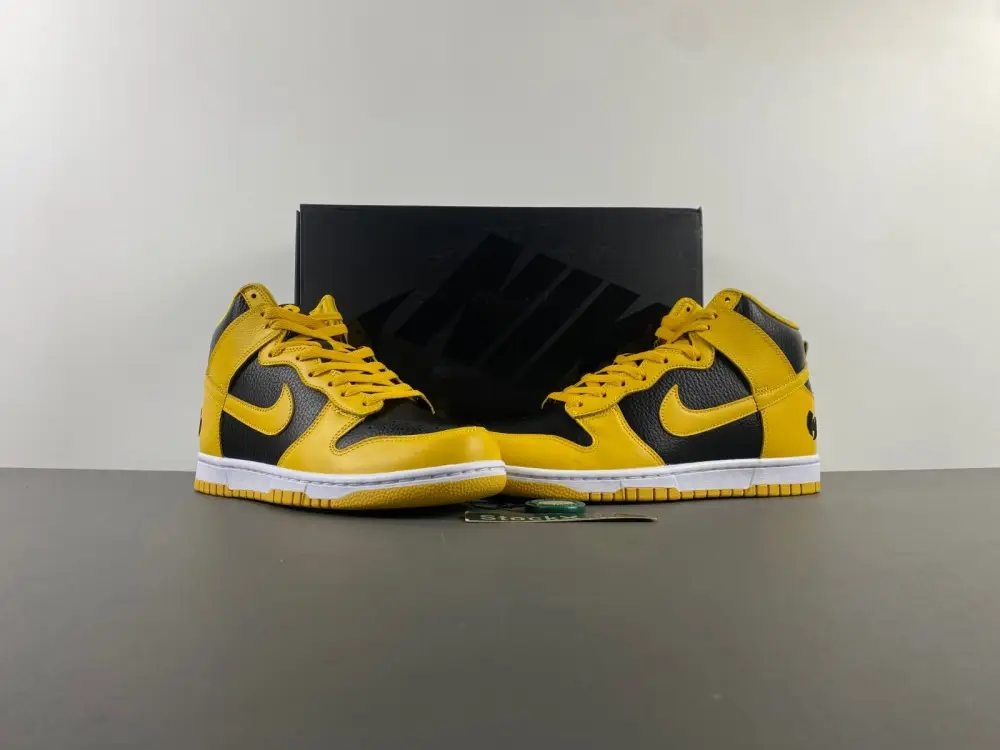 Nike Dunk High 