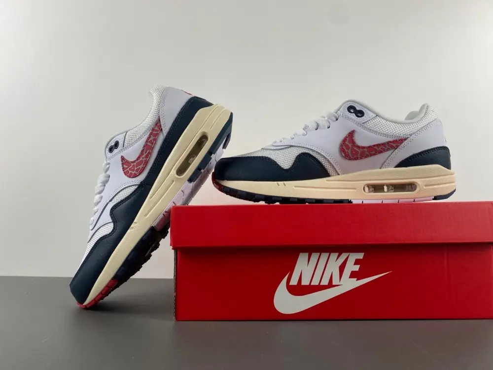 Nike Air Max 1 