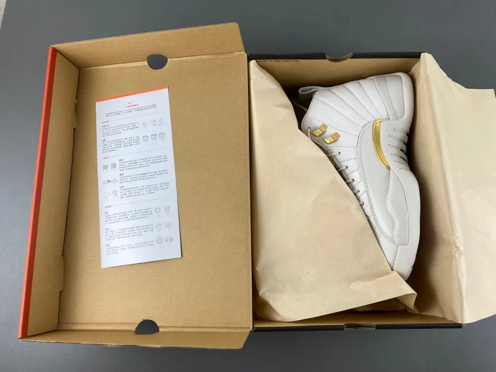 Air Jordan 12 