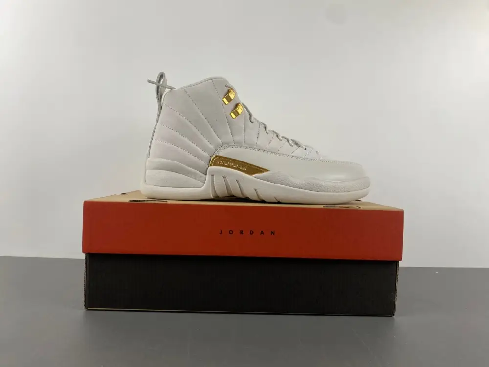 Air Jordan 12 