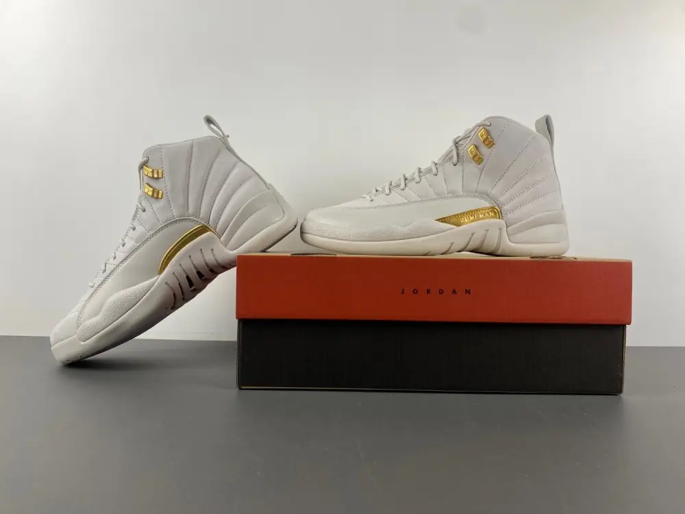 Air Jordan 12 