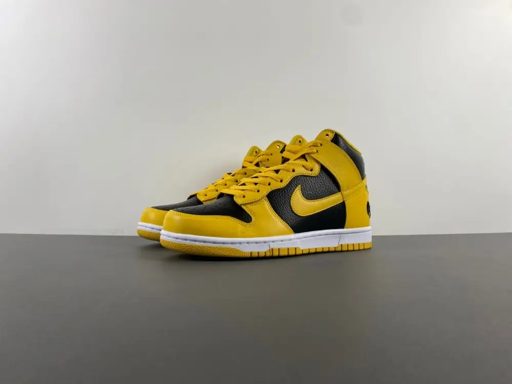 Nike Dunk High 