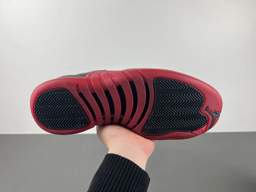 Air Jordan AJ12   2025 