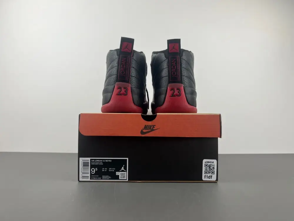 Air Jordan AJ12   2025 