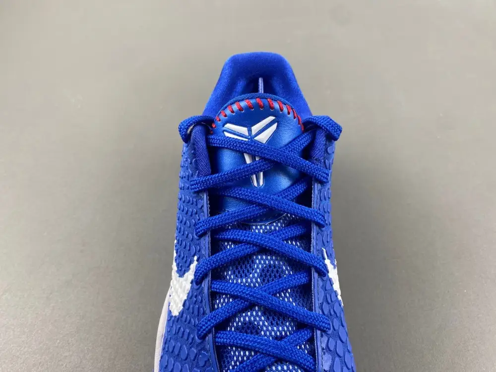 Nike Kobe 6 Protro 