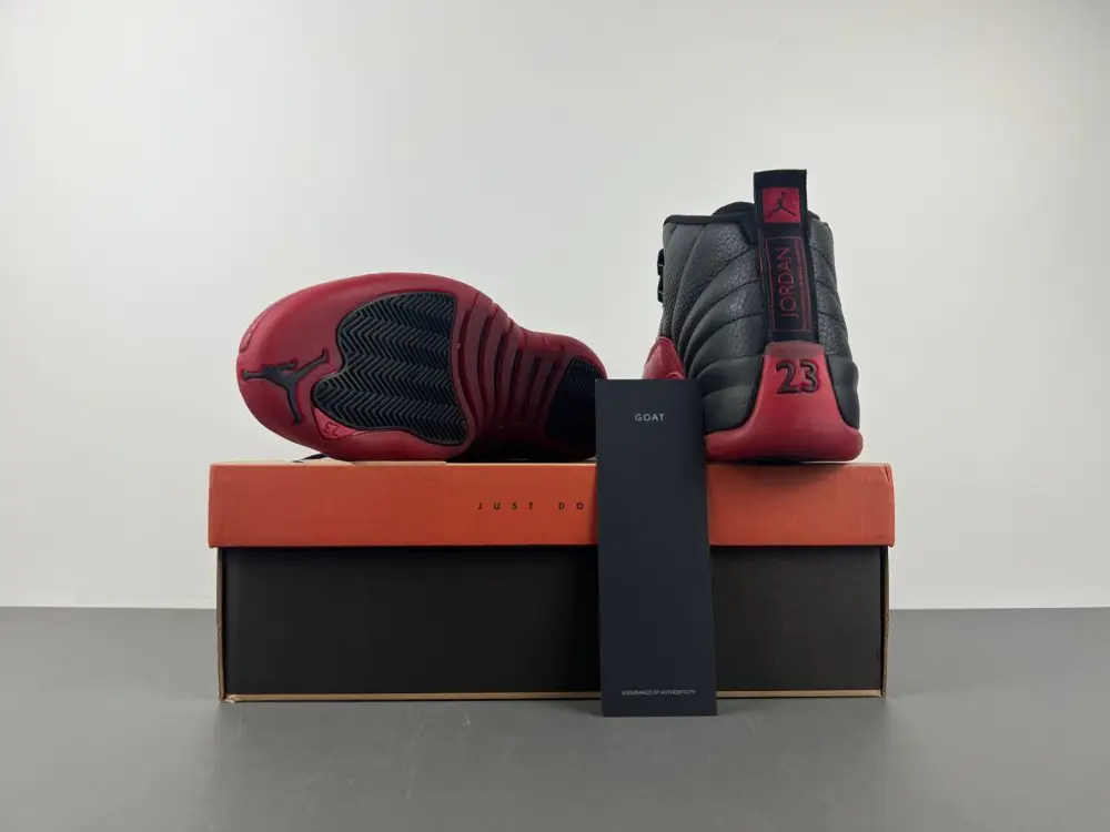 Air Jordan AJ12   2025 