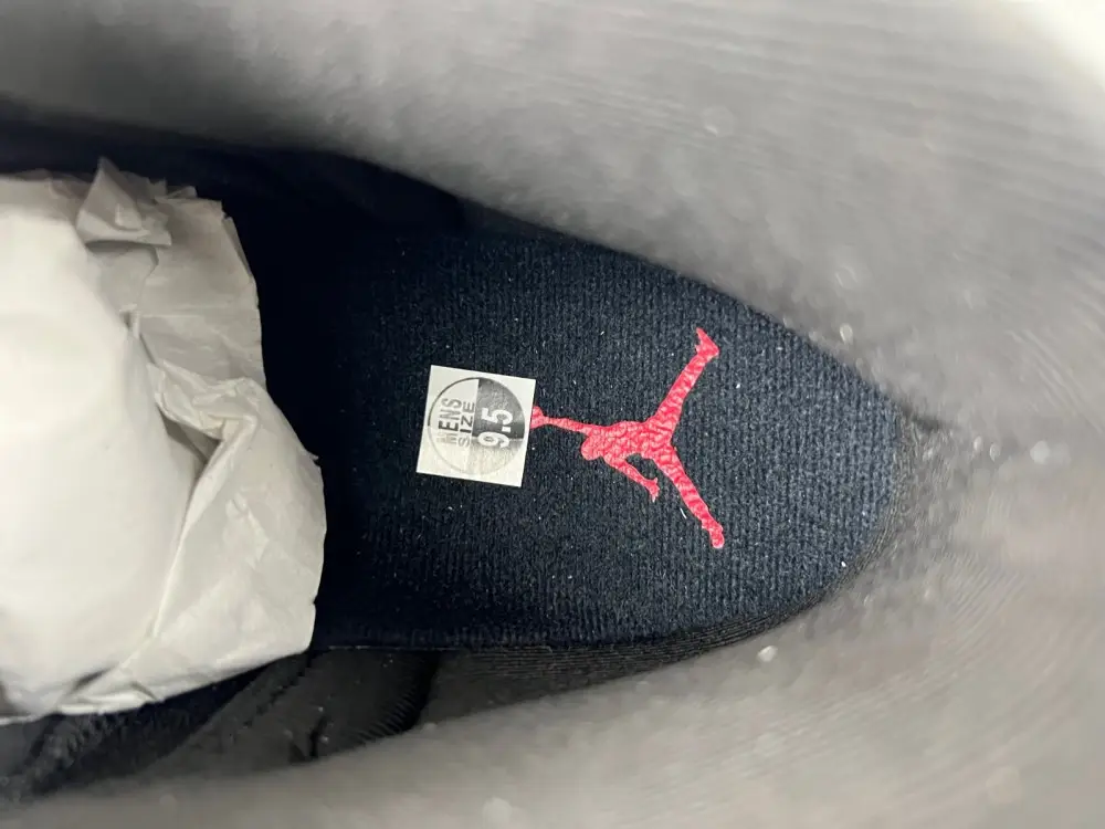 Air Jordan AJ12   2025 