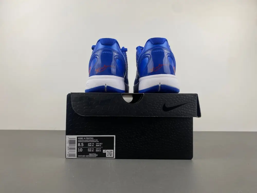 Nike Kobe 6 Protro 