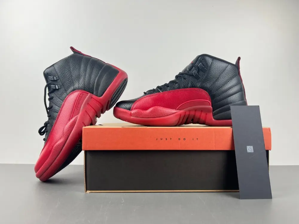 Air Jordan AJ12   2025 