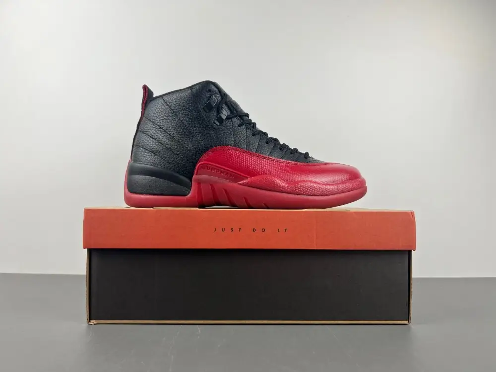 Air Jordan AJ12   2025 