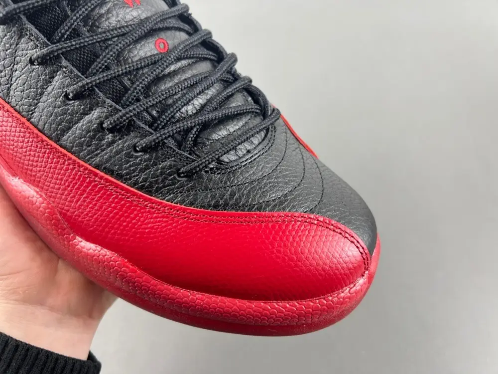 Air Jordan AJ12   2025 