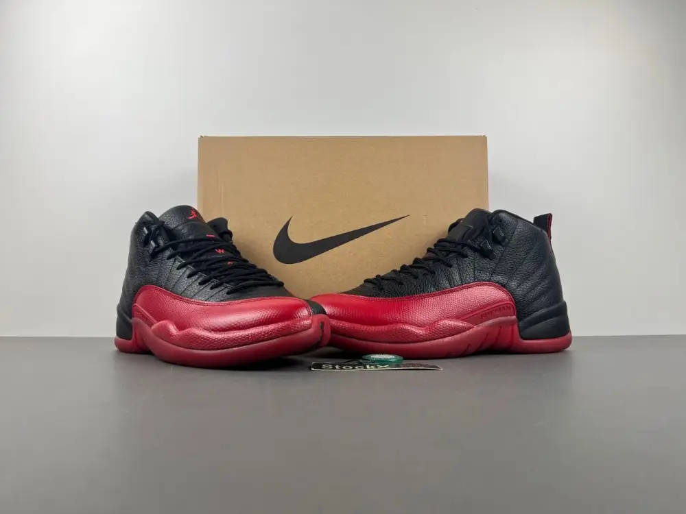 Air Jordan AJ12   2025  DAFFC1346