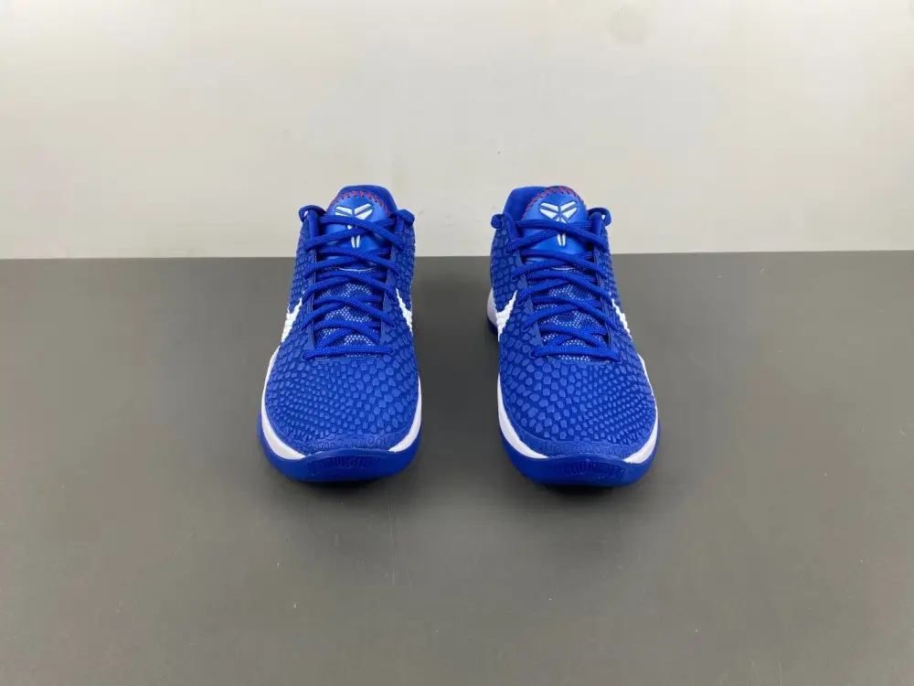 Nike Kobe 6 Protro 