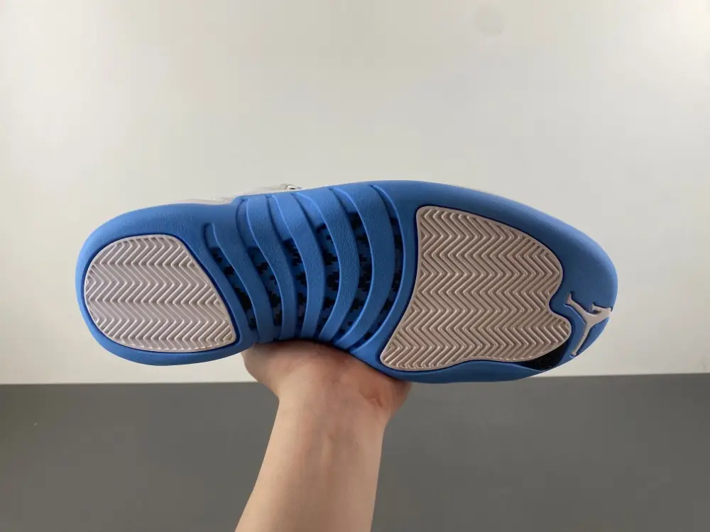 Air Jordan 12 