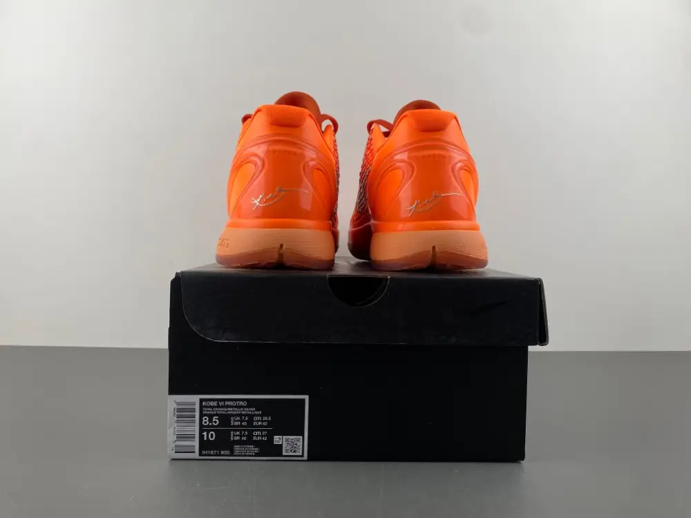 Nike Kobe 6 Protro 