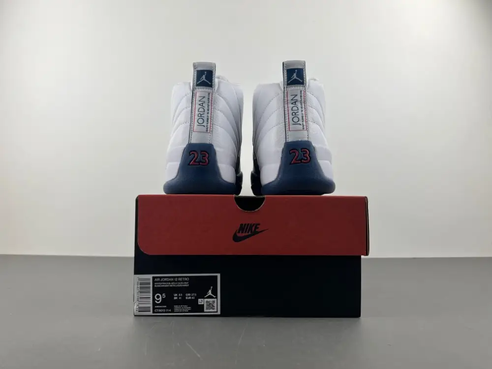 Air Jordan 12 
