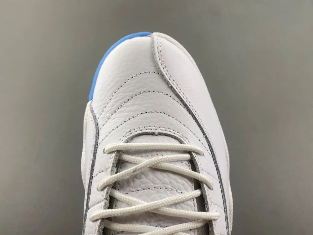 Air Jordan 12 