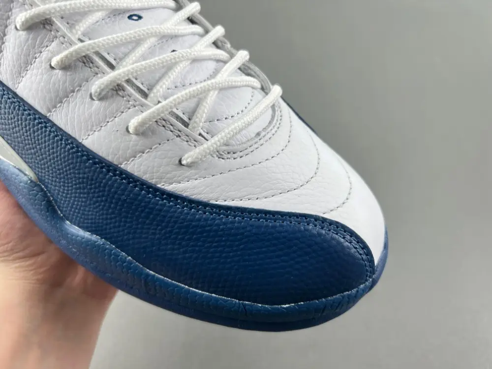 Air Jordan 12 