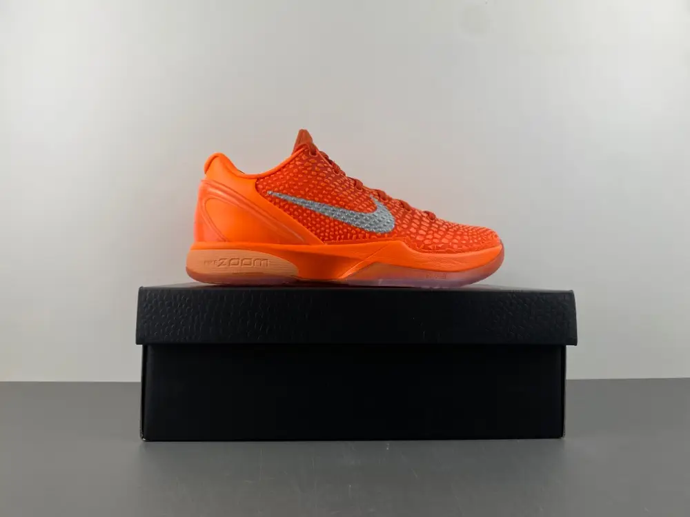 Nike Kobe 6 Protro 