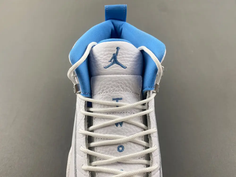 Air Jordan 12 