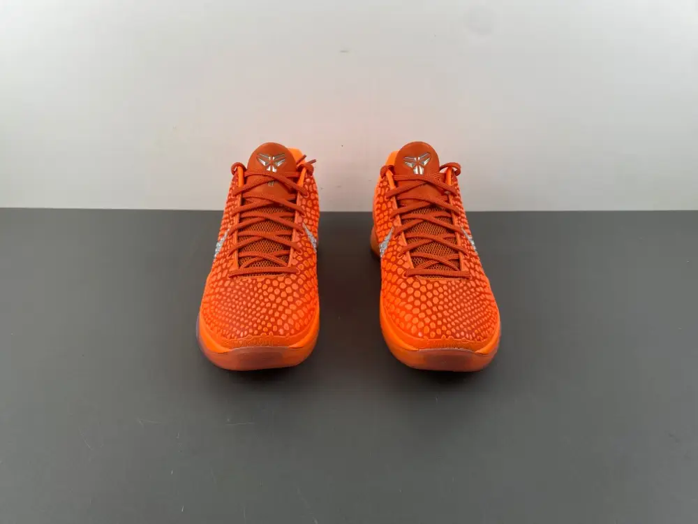 Nike Kobe 6 Protro 