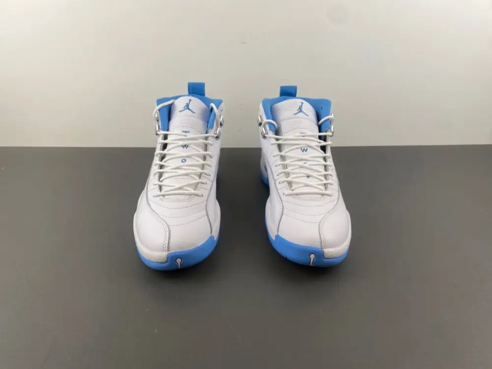 Air Jordan 12 
