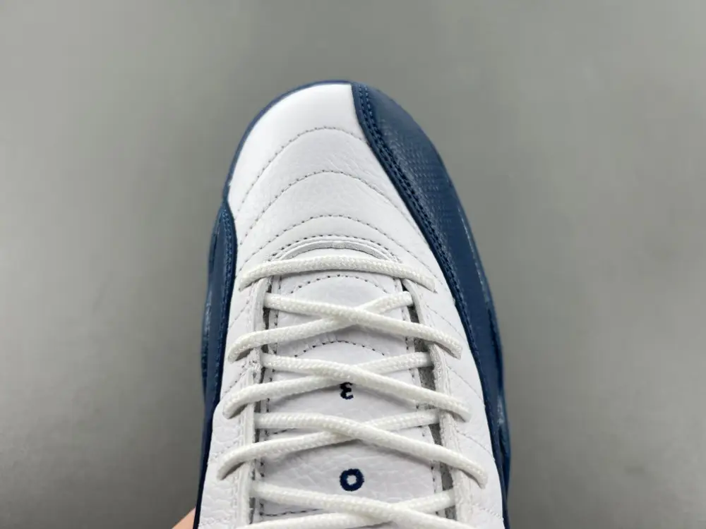 Air Jordan 12 