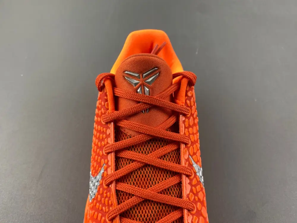 Nike Kobe 6 Protro 