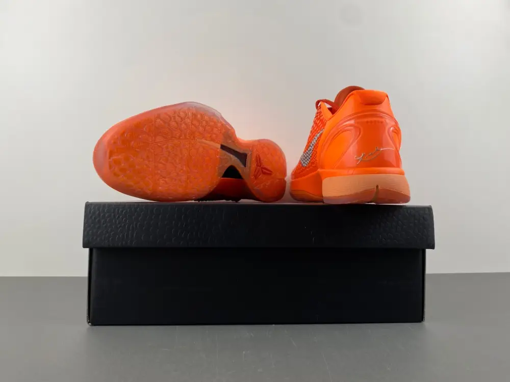 Nike Kobe 6 Protro 