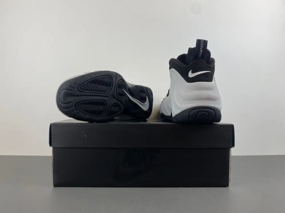 Nike Air Foamposite Pro 