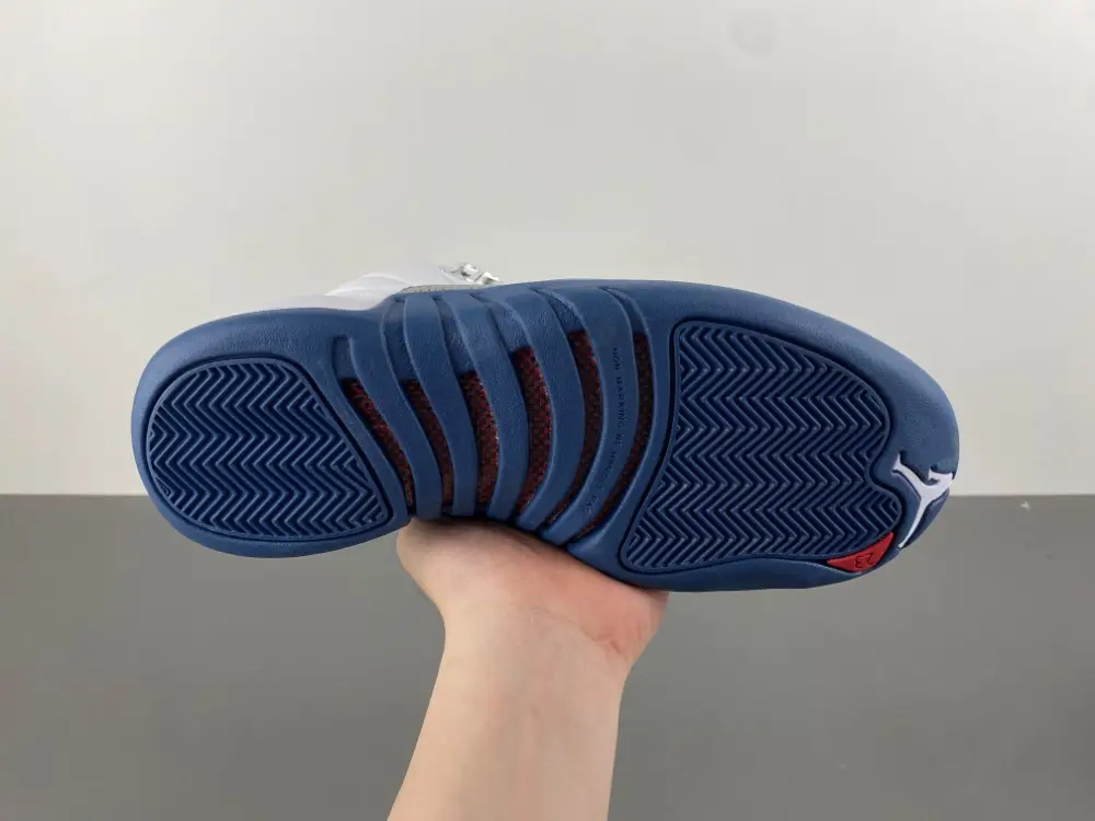 Air Jordan 12 GS 