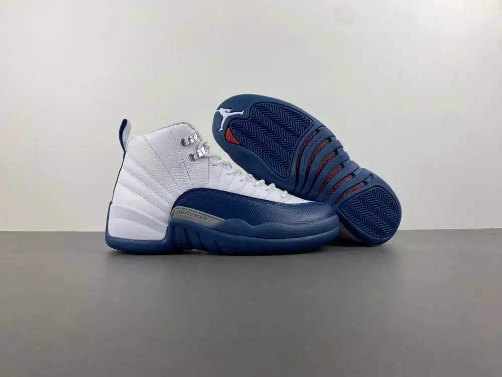 Air Jordan 12 GS 